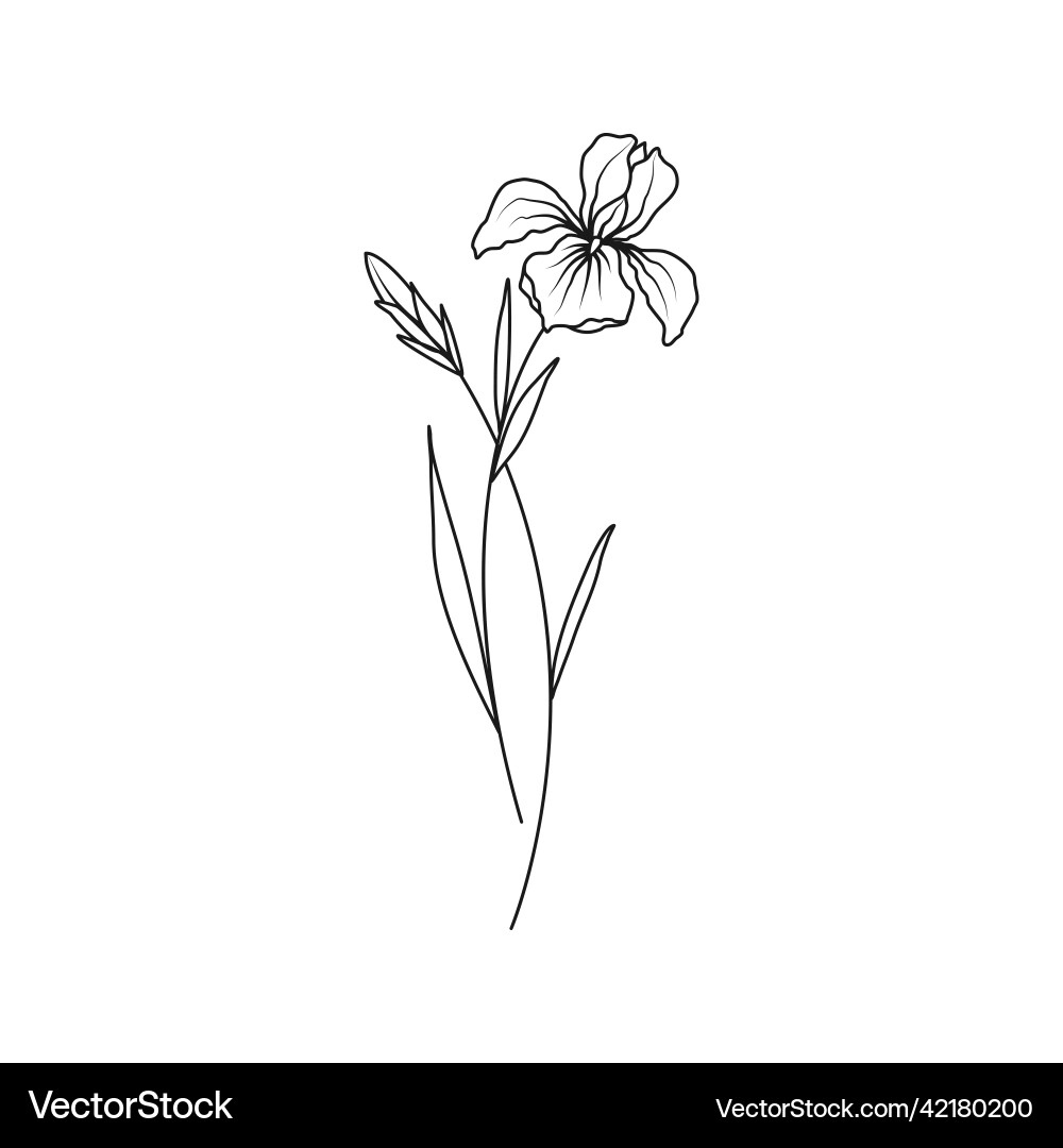 February birth month flower deals