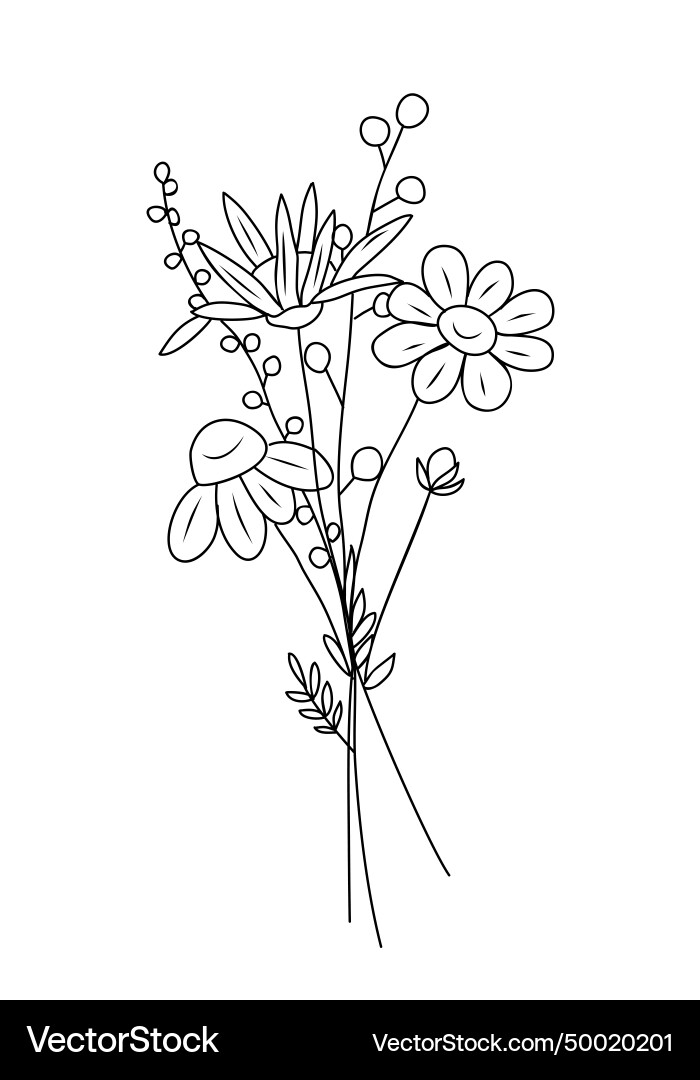 Bouquet with daisy flowers plants line art Bouquet with daisy flowers plants line art vector image