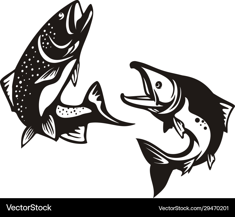 Freshwater Fish - Bass, Salmon & Carp Vector Image