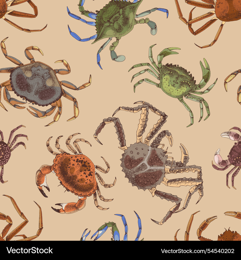 Seamless pattern with different types of crabs Seamless pattern with different types of crabs vector image