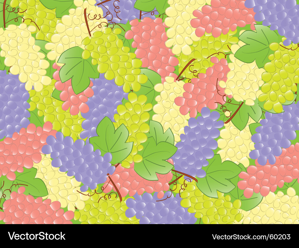 Grape vector image