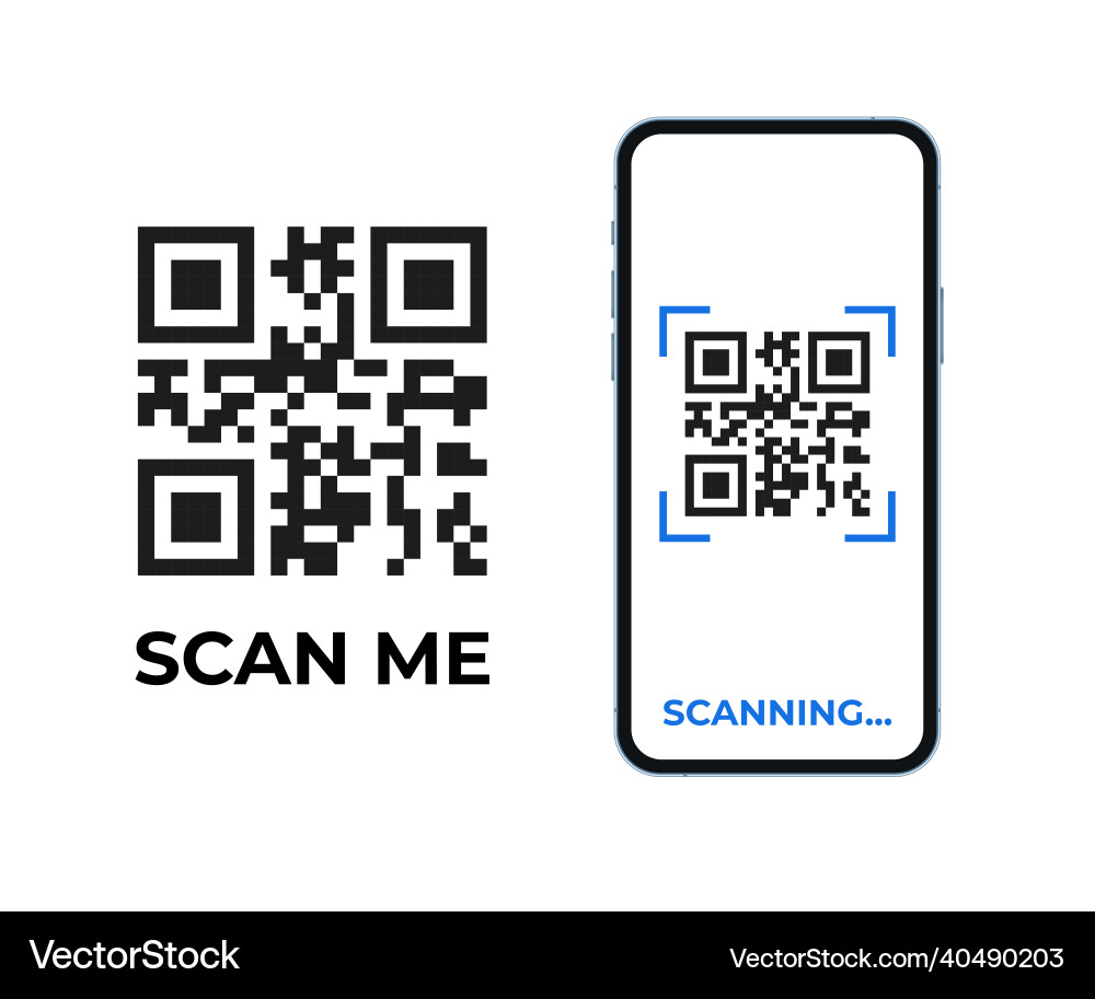QR Code Scan on Smartphone Screen vector image