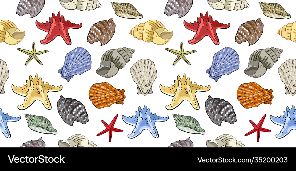 Seamless pattern with seashells isolate on white vector image