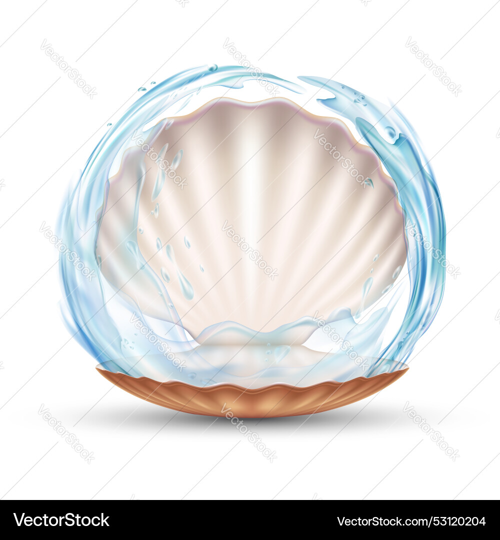 Empty open seashell with water splashes vector image