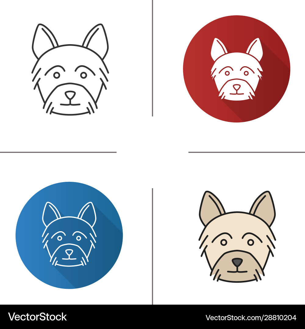 Yorkshire terrier icon Yorkshire terrier icon vector image