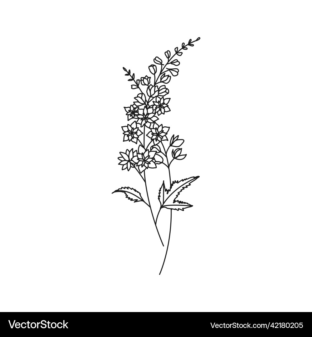 Birth Flower Tattoos: Delphinium Beauty