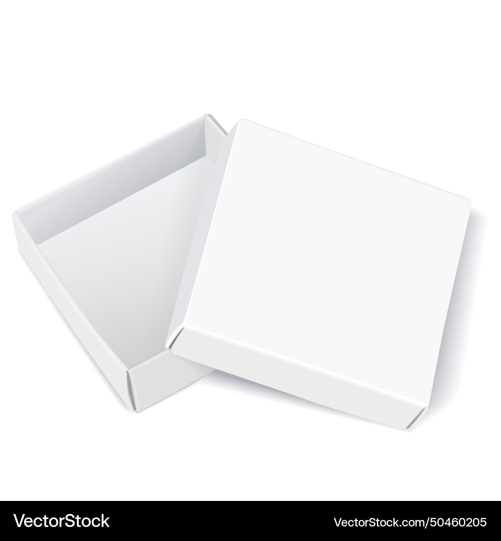 Open empty blank box vector image