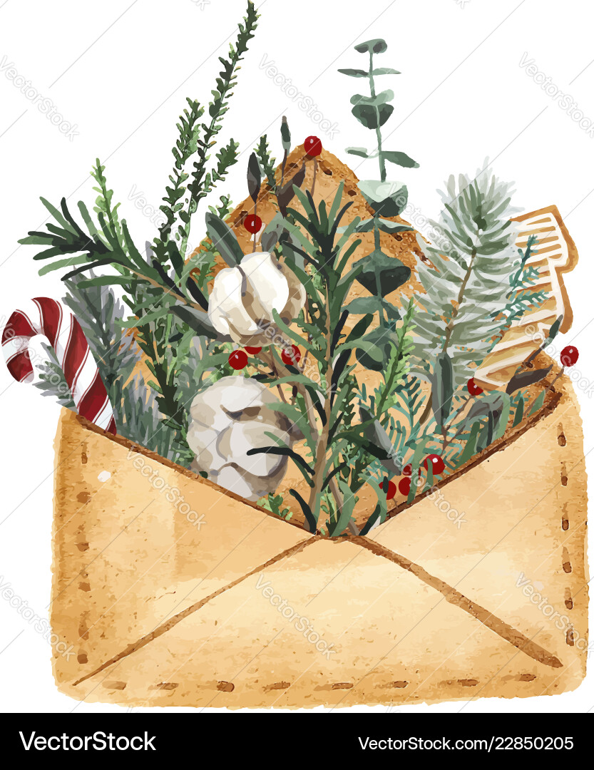 Open envelope with fir tree branches a monkey Vector Image