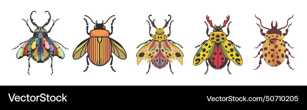 Set of different colorful beetles isolated Set of different colorful beetles isolated Vector Image