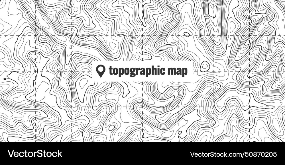 Topographic map with contour lines geographic Topographic map with contour lines geographic vector image