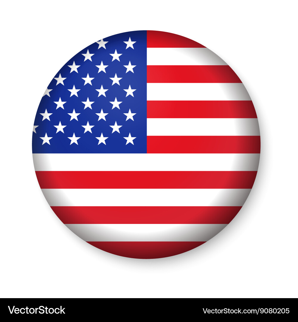 United States Flag Button vector image