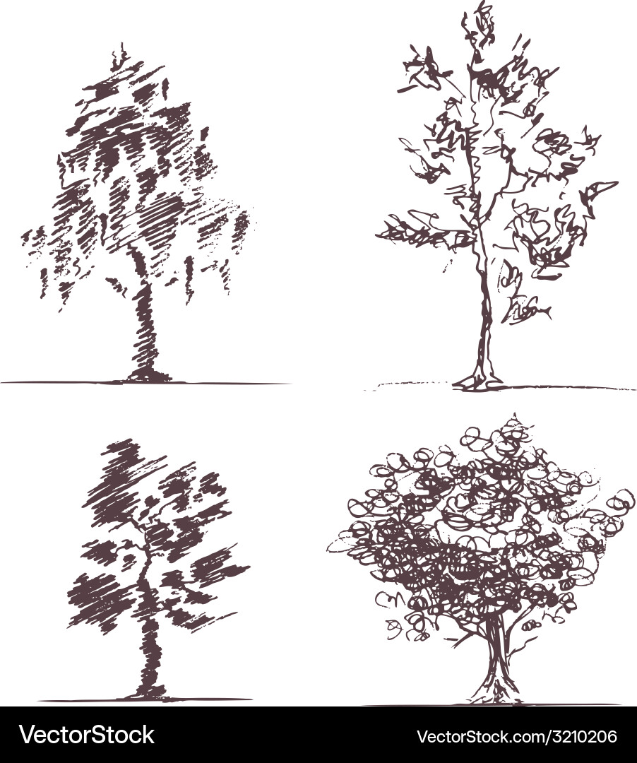 Four Hand-Drawn Tree Sketches vector image