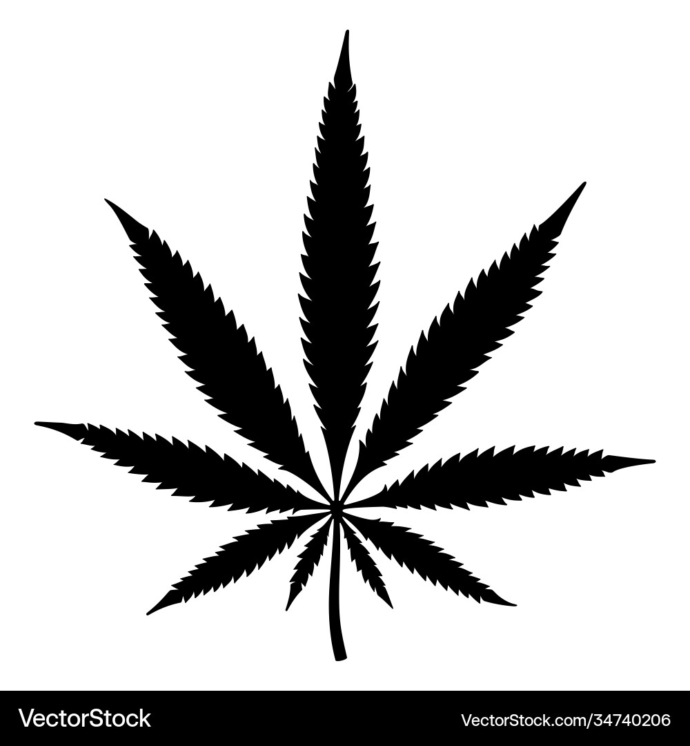 Hemp Leaf Silhouette Vector Image