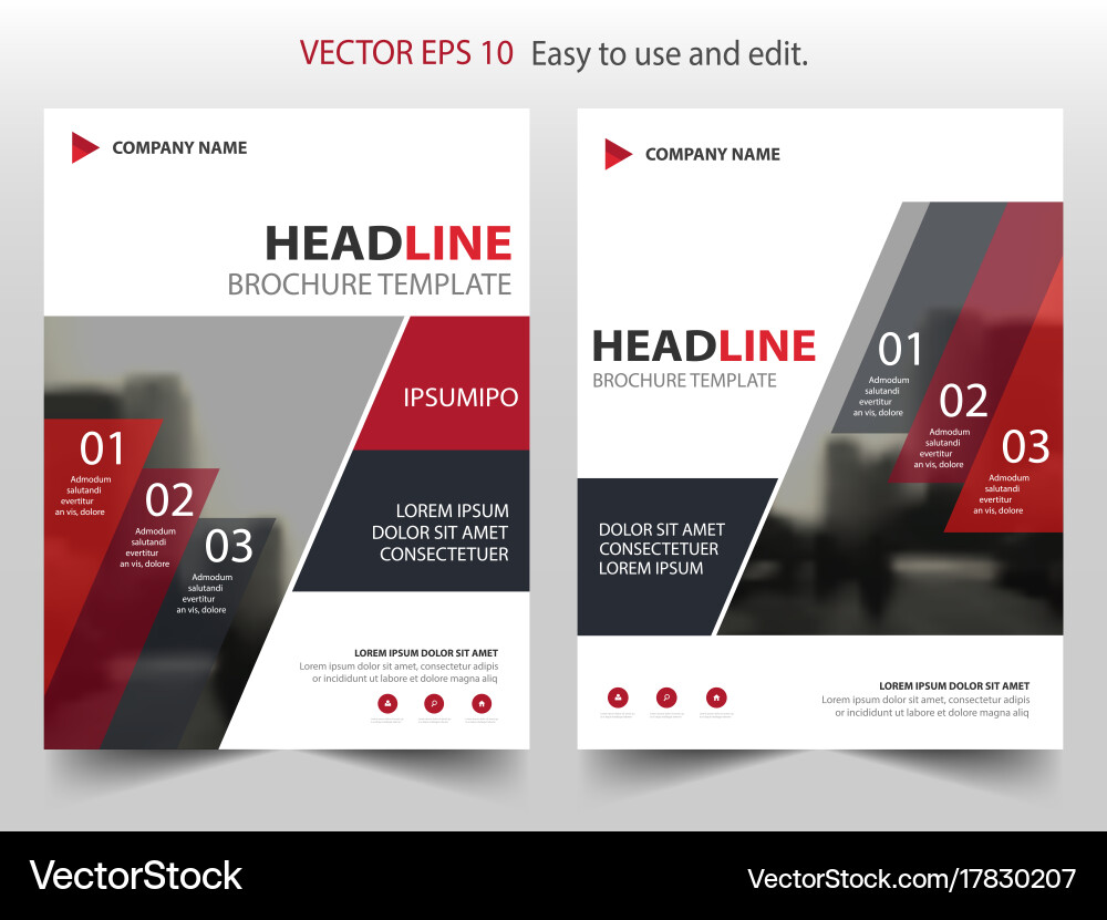 Red abstract infographic annual report brochure Vector Image