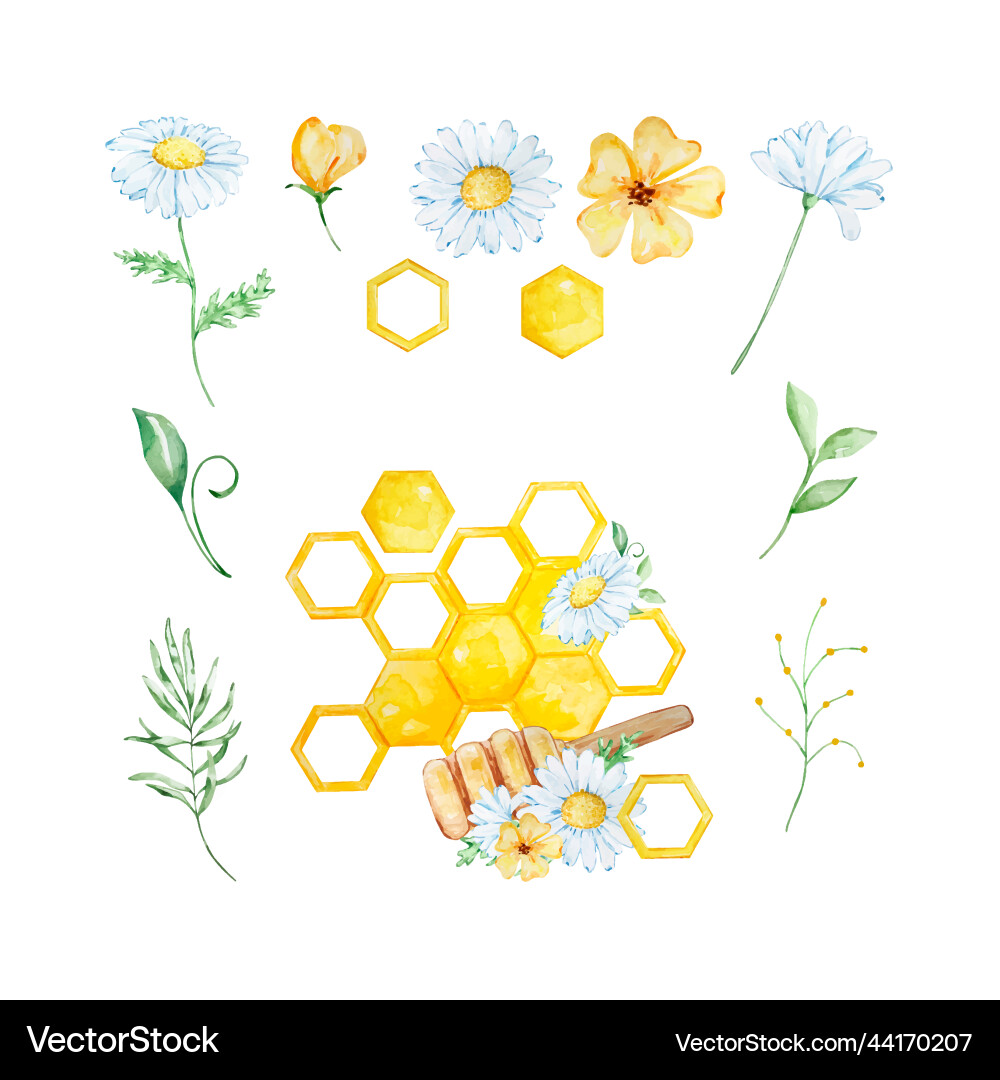 Watercolor Honeycomb & Flower Set Vector Image