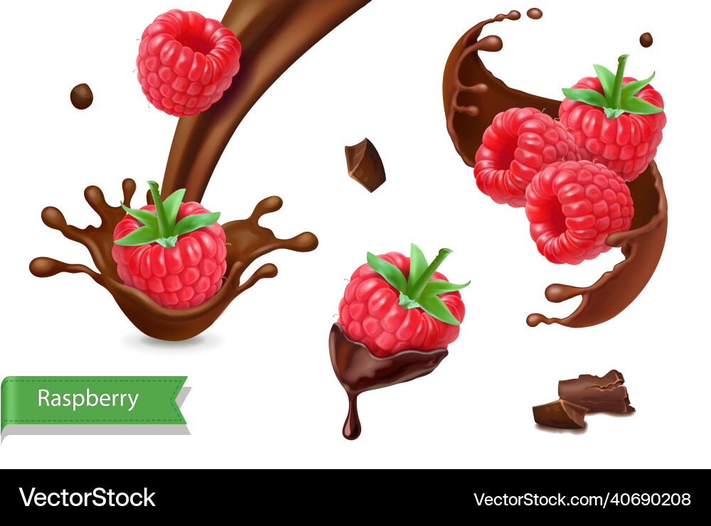Raspberry realistic in chocolate splash set Vector Image