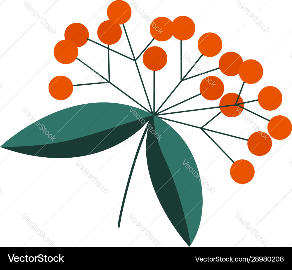 Simple element twig with leaves and orange vector image