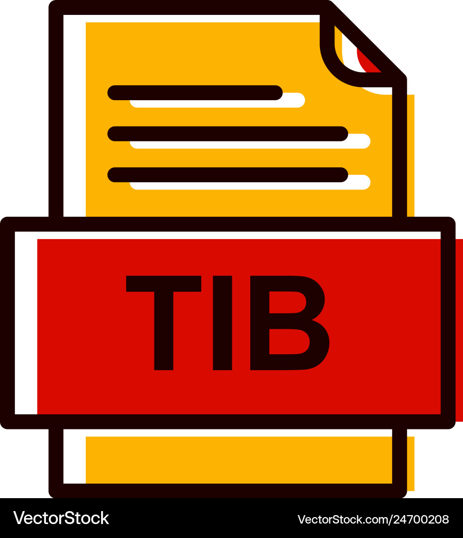 Tib file document icon vector image