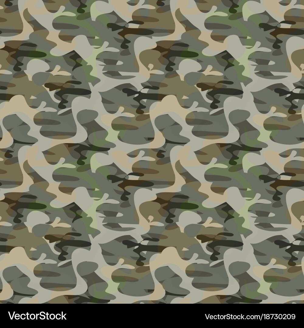 Army camouflage pattern vector image