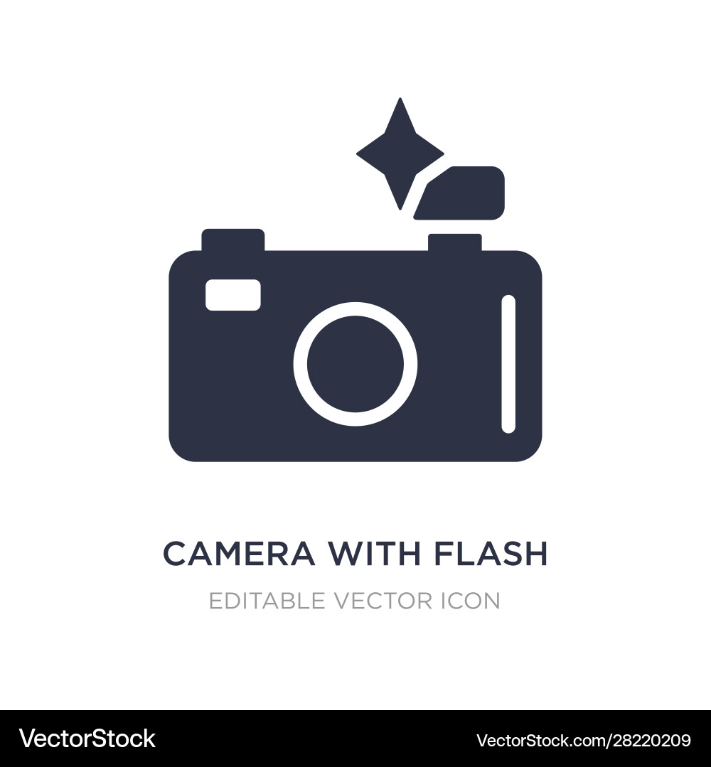 Camera with flash icon on white background simple Camera with flash icon on white background simple vector image