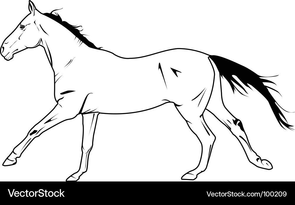 Galloping Stallion vector image