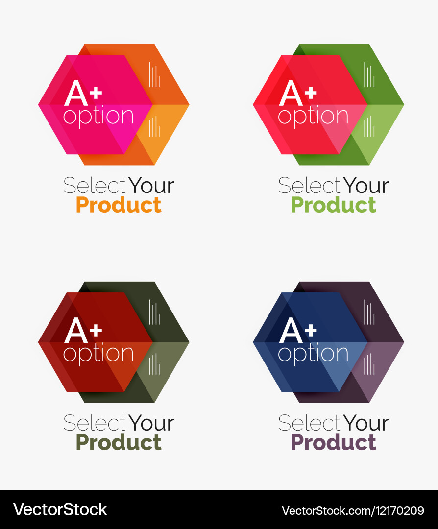 Set of business hexagon layouts with text vector image