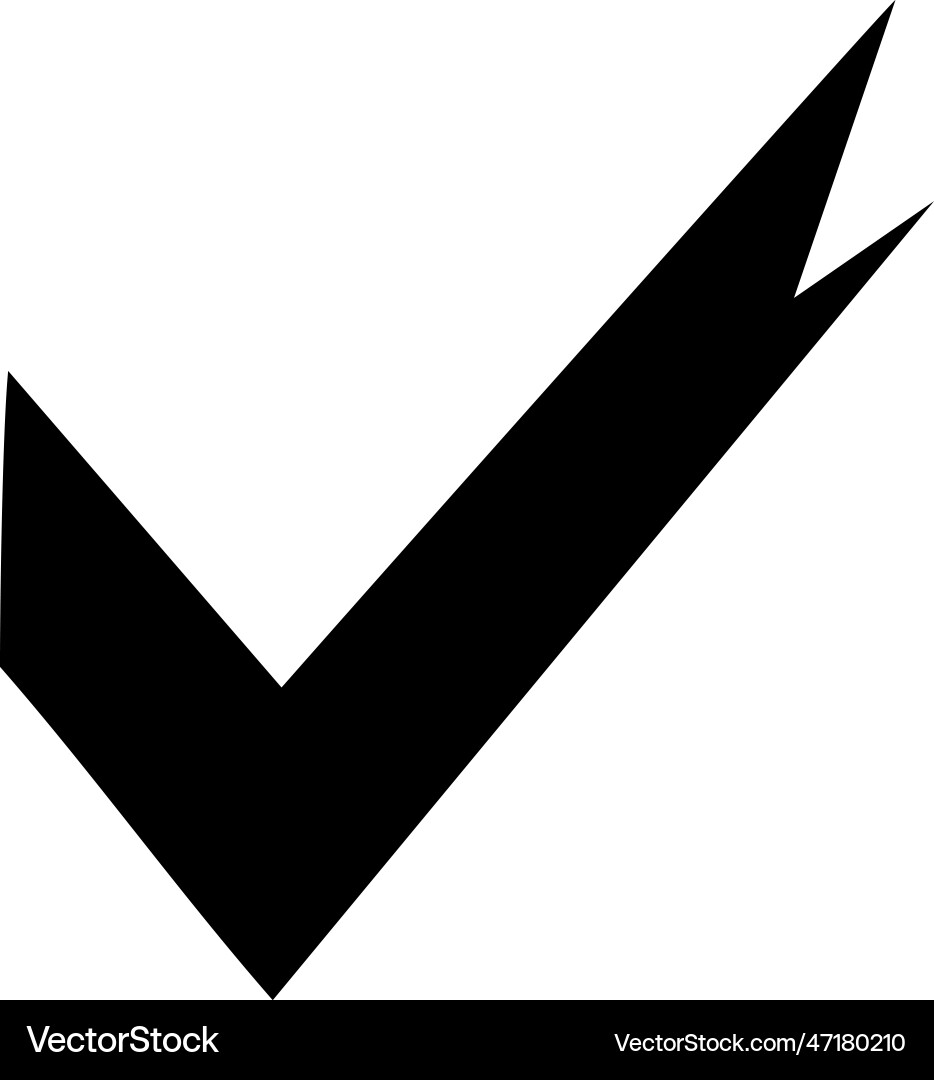 Check mark icon image vector image