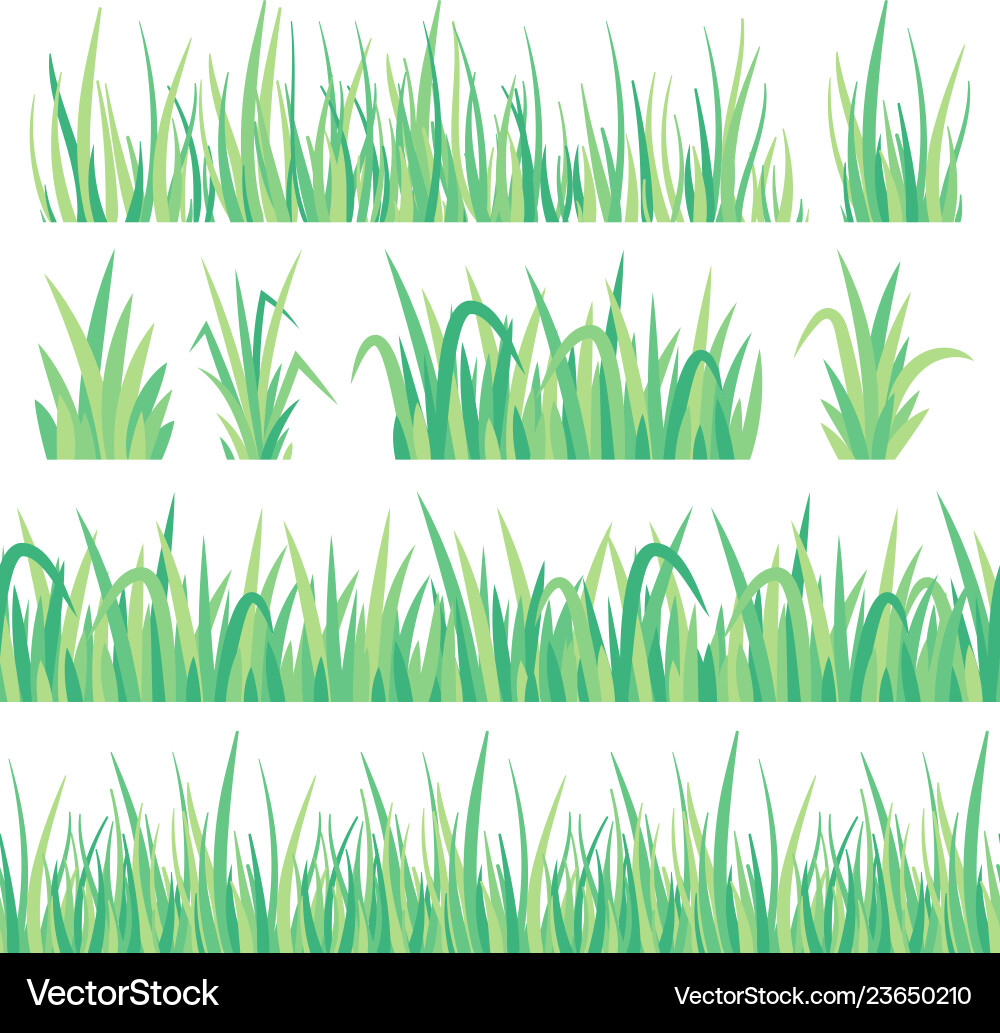 Green grass field herb fresh garden meadow tuft Green grass field herb fresh garden meadow tuft vector image