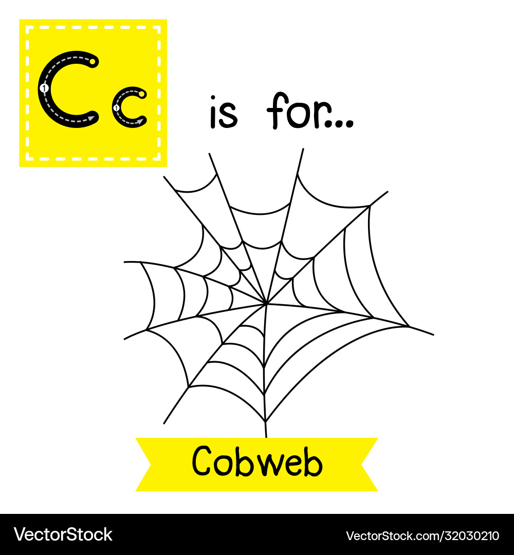 Letter c tracing cobweb Letter c tracing cobweb vector image