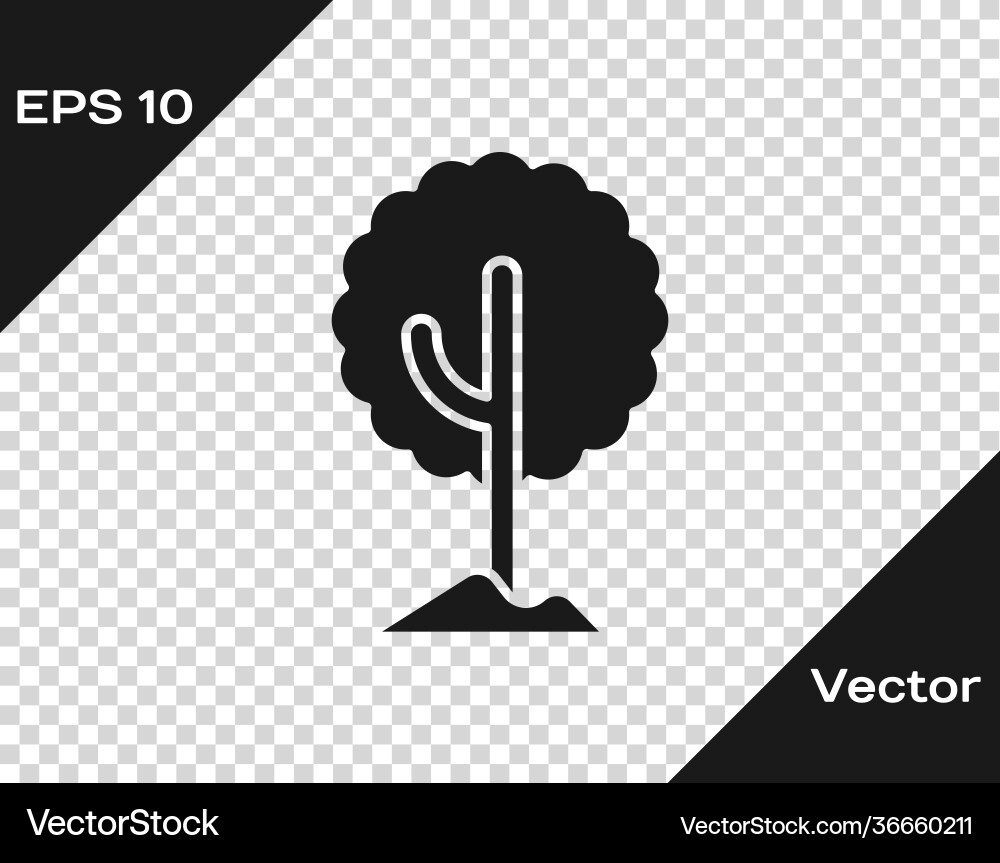 Black tree icon isolated on transparent background Black tree icon isolated on transparent background vector image