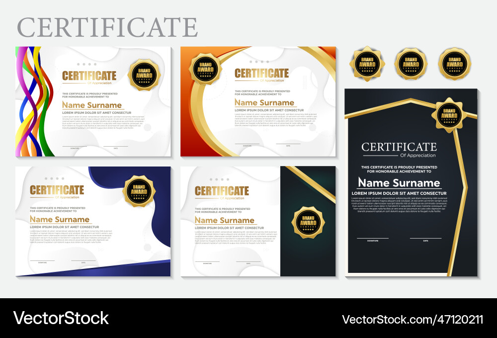 Modern design certificate layout concept simple vector image