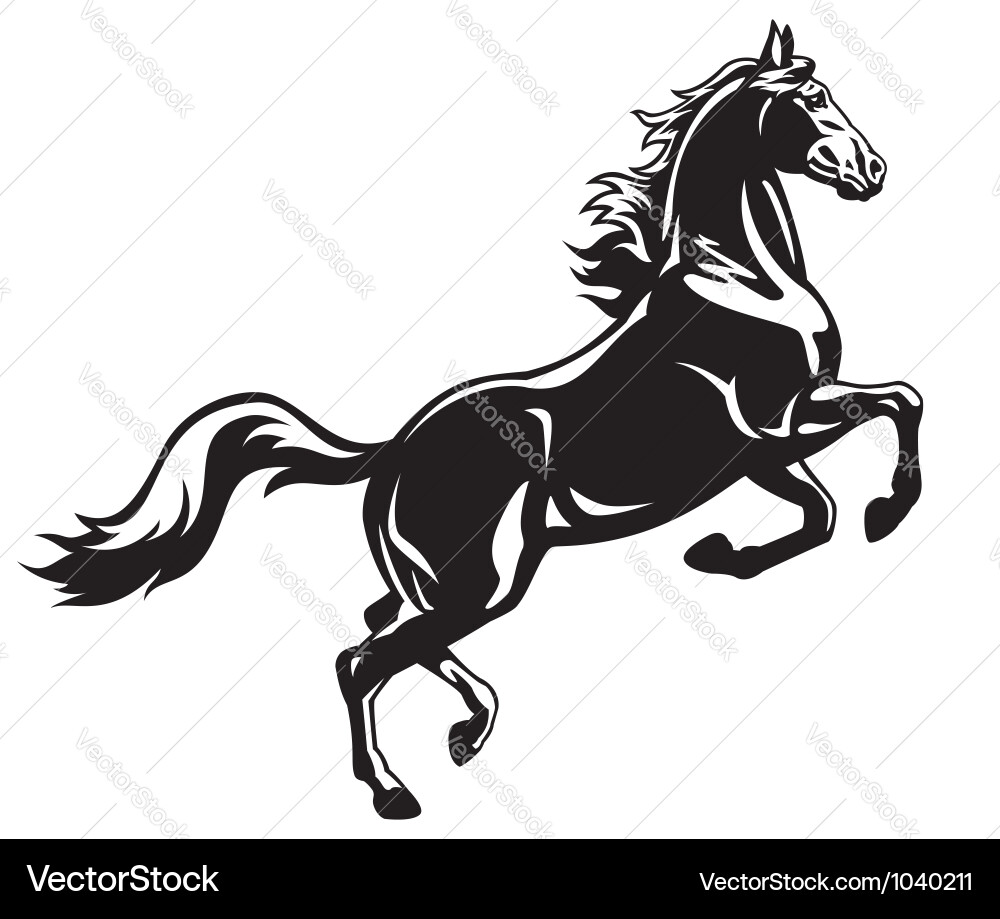 Rearing Stallion Horse Vector Image