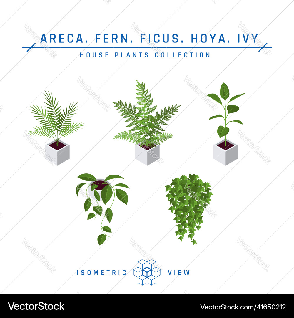 Isometric pot plants icons in flat style Vector Image
