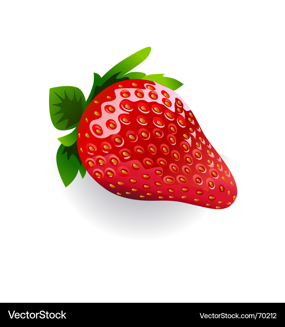 Ripe Strawberry Vector Image
