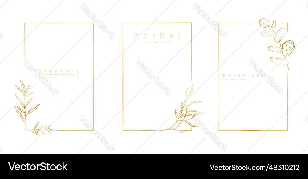 Set of logo templates in minimal linear style Vector Image