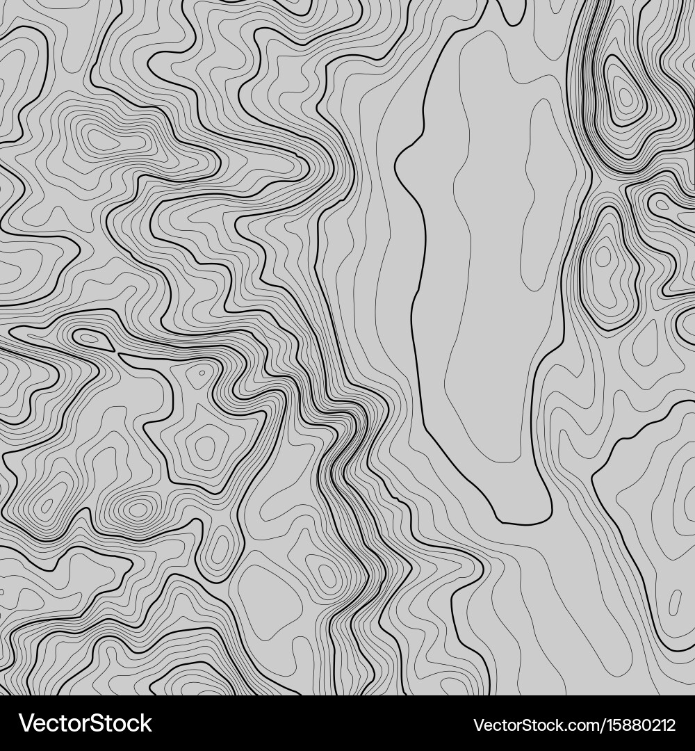 Topographic map background with space for copy vector image
