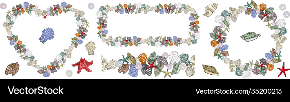 A set seashell elements different kinds vector image