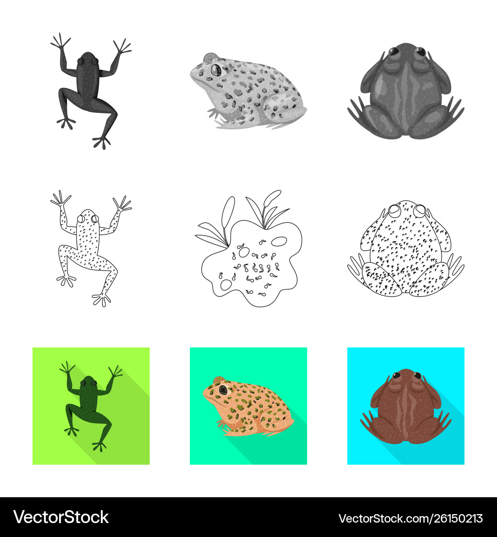 Isolated object wildlife and bog icon set Vector Image