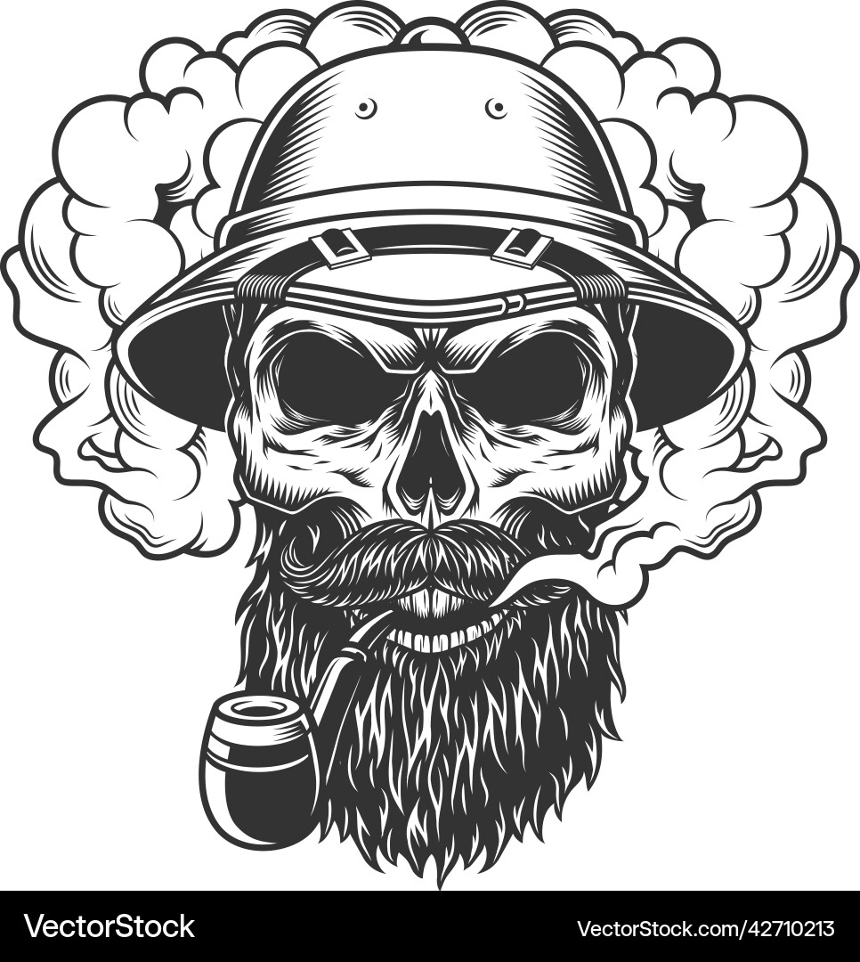 Skull in smoke cloud Vector Image