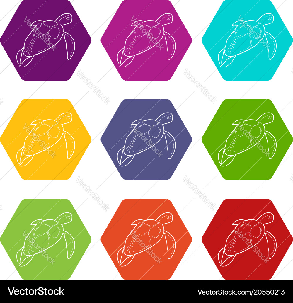 Turtle Icon Set - Colorful Shells vector image
