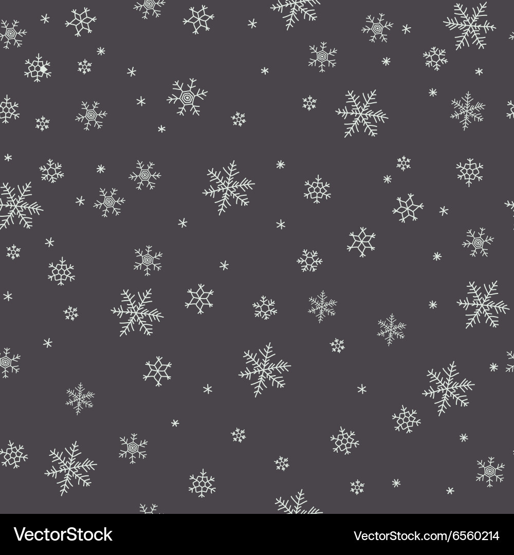 Winter Snowflake Pattern Vector Image