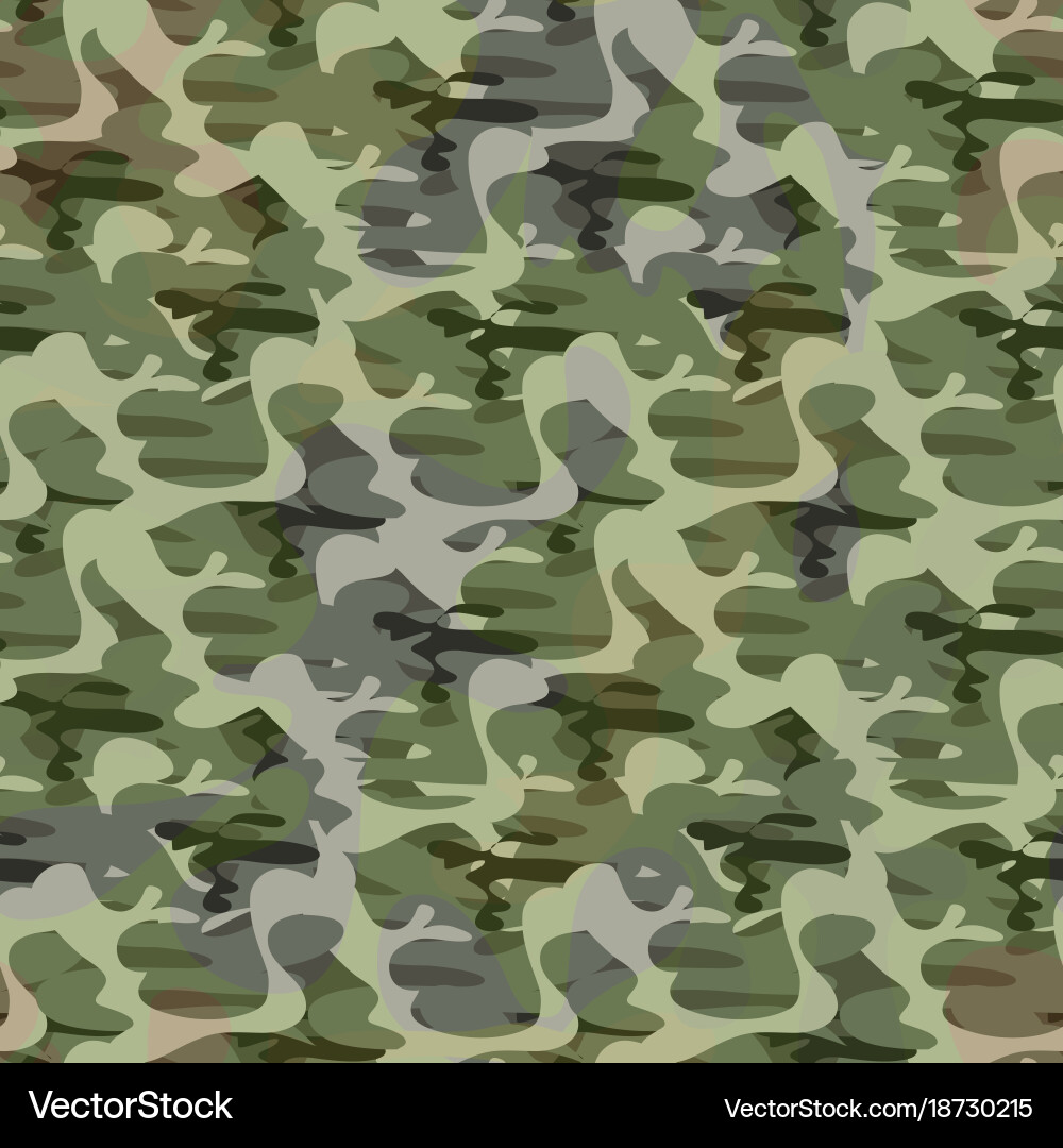 Army camouflage pattern vector image