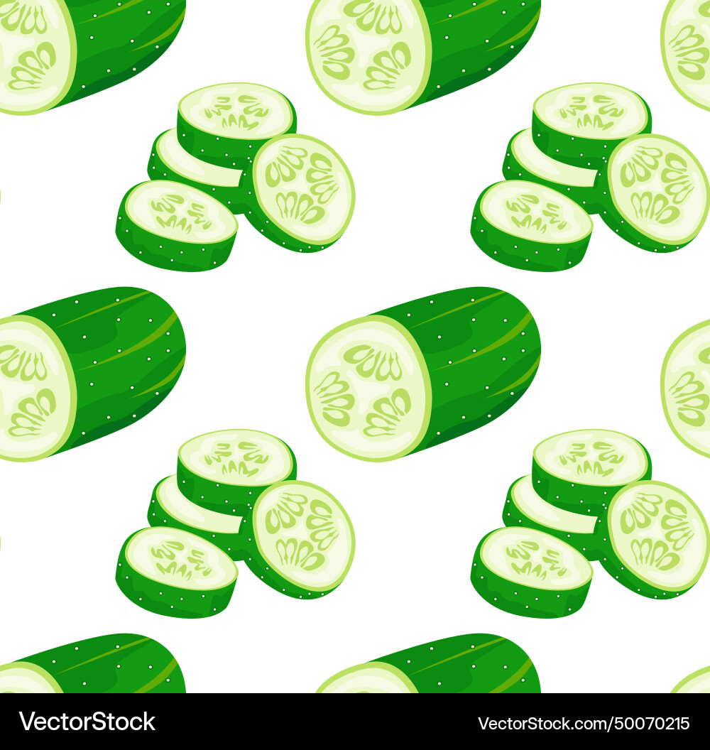 Half a cucumber and slices stacked vector image