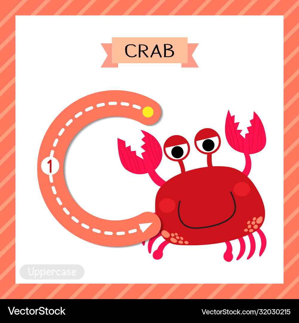 Uppercase C - Red Crab Tracing Vector Image