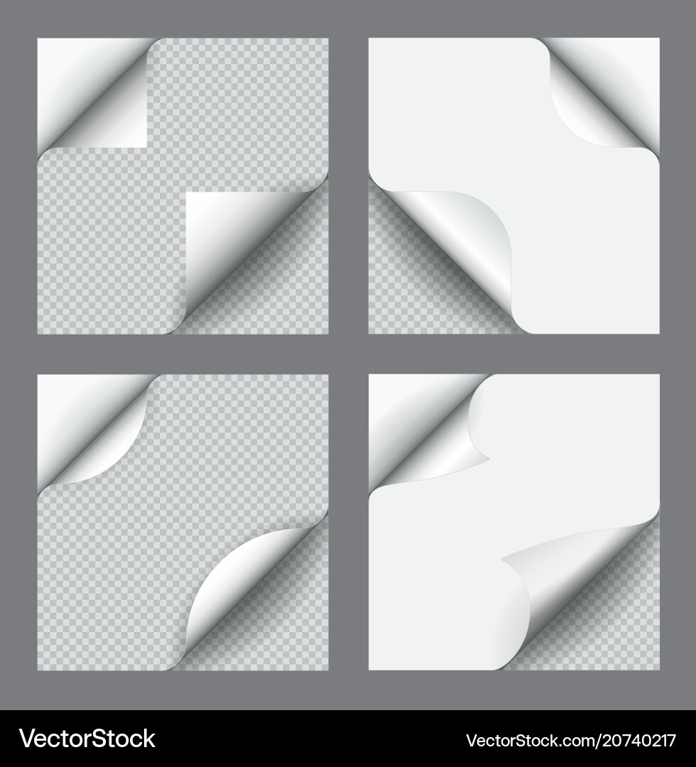 Paper Page Curl with Shadow vector image