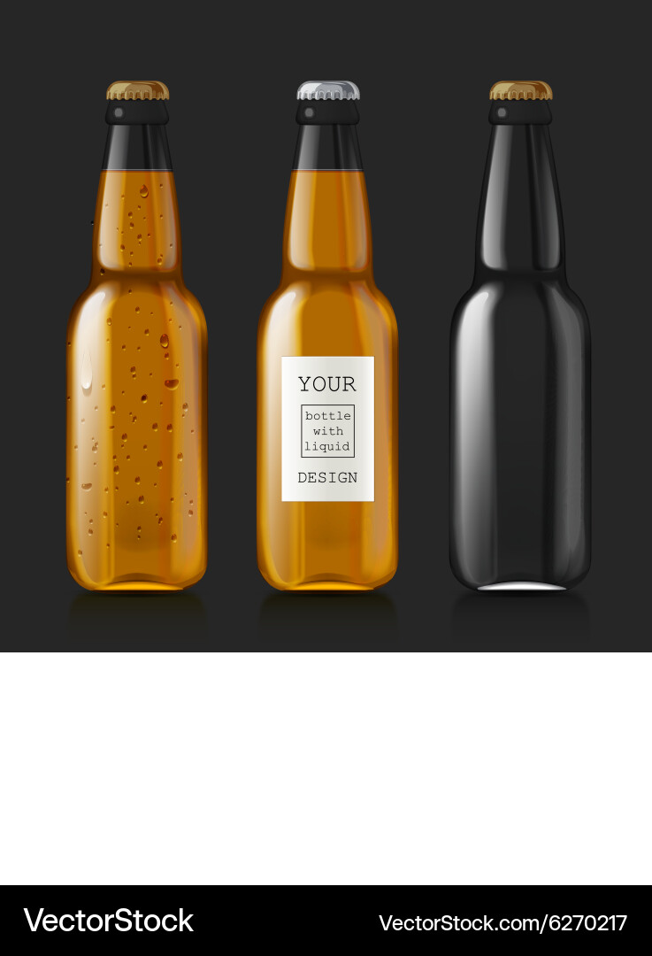 Sample of empty beer bottles vector image