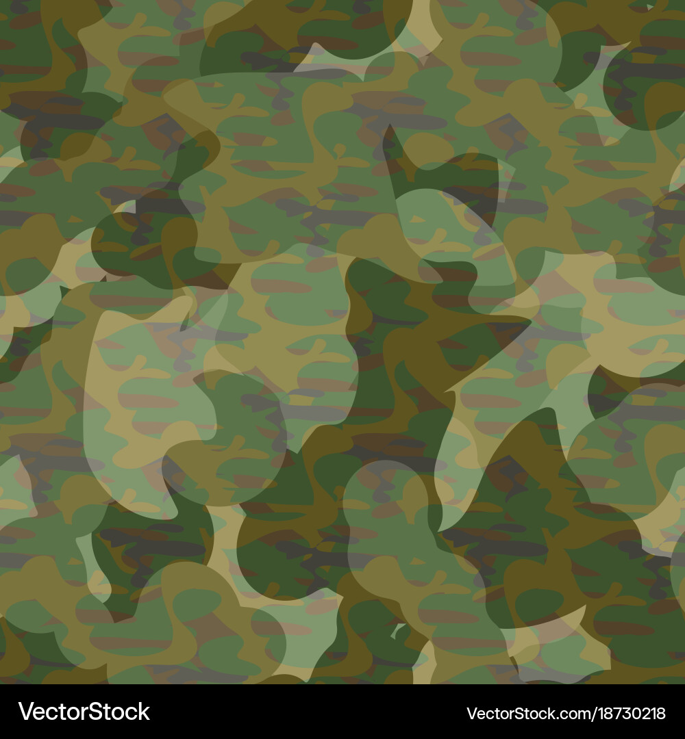 Army camouflage pattern vector image