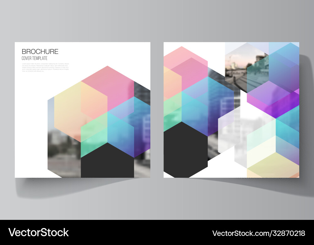 Layout two square format covers design Layout two square format covers design vector image