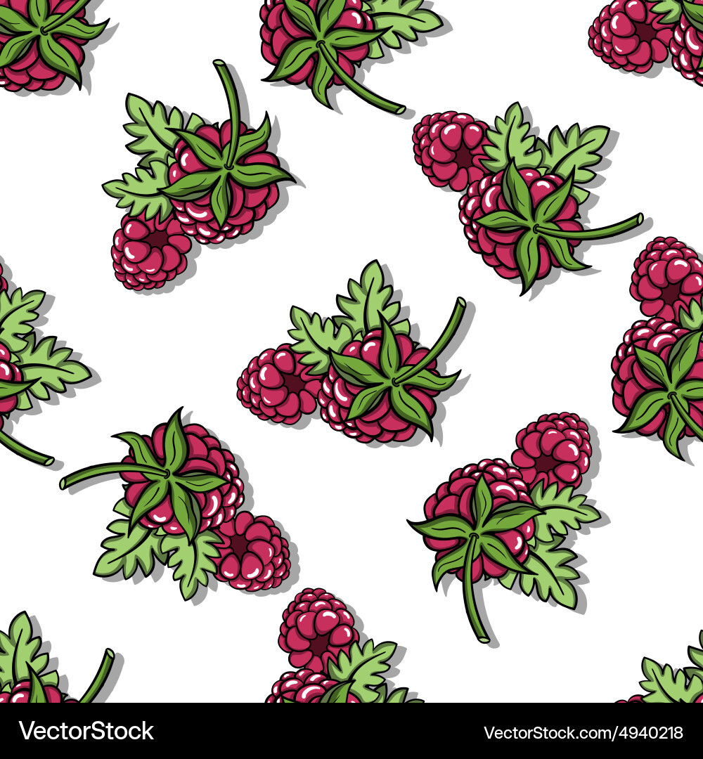 Raspberrypattern31 vector image