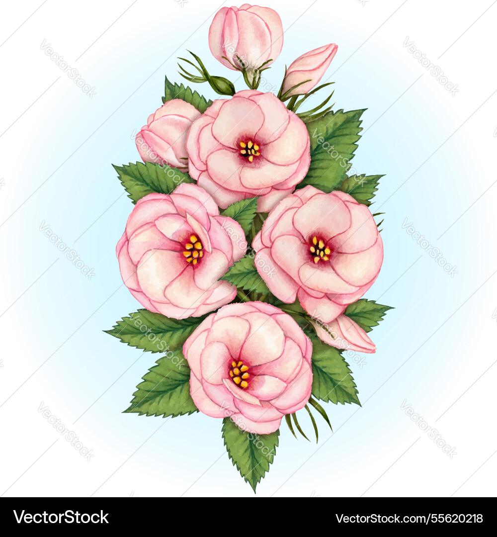 Watercolor hand drawn delicate flowers Watercolor hand drawn delicate flowers vector image